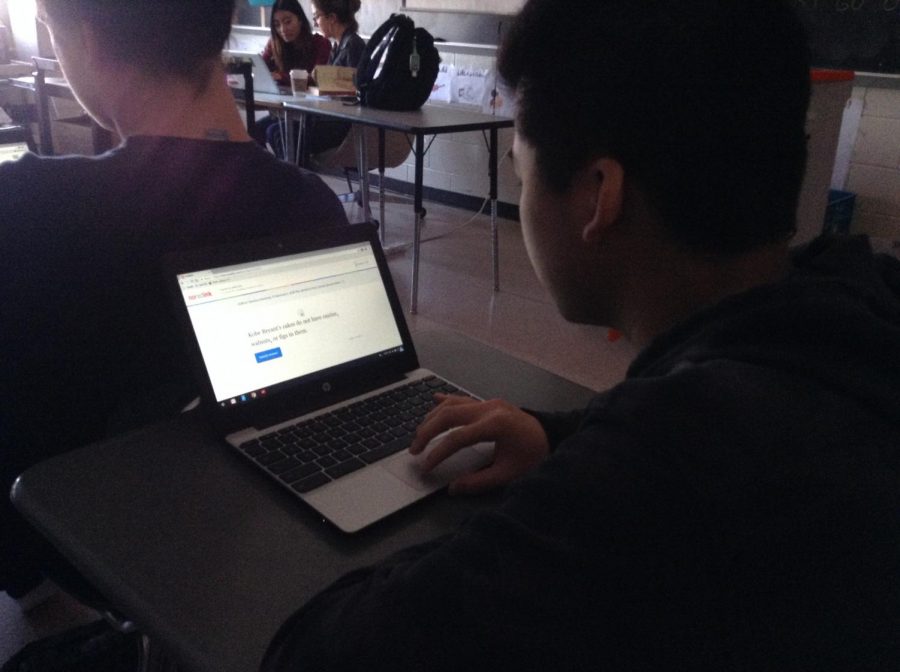 Junior David Wang works on his assigned NoRedInk assignment