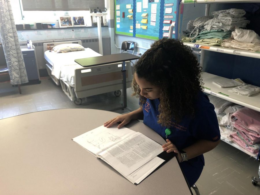 Senior Health and Bioscience Academy student Maria Garcia studies for her upcoming exam to become a certified CNA.