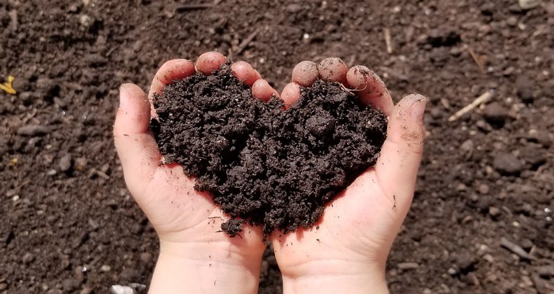 Eco-Revolution: The Thirty-Year War on Dirt