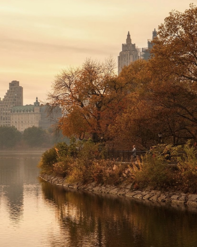 Photographed by @ethanbarber.co on Instagram at Central Park