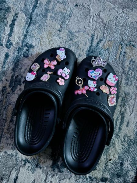 At DHS, crocs are a popular shoe choice for many students.